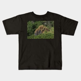 Red Sand Stone rock in a pasture Kids T-Shirt